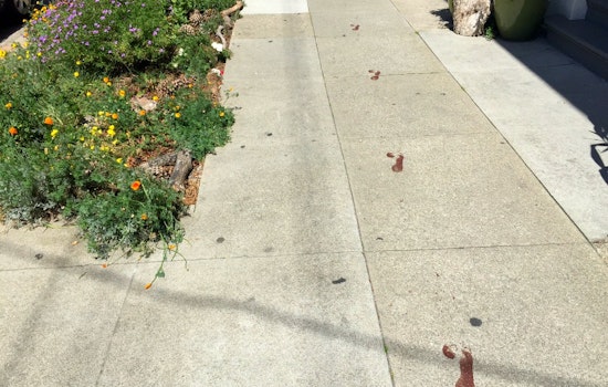 Disturbing Footprints Leave Neighborhood Concerned