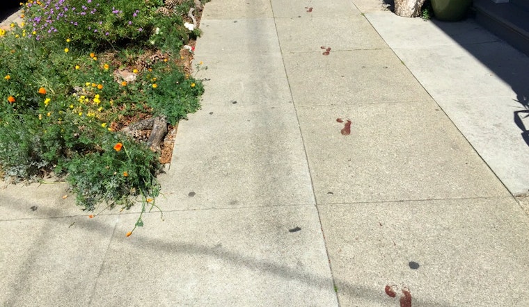 Disturbing Footprints Leave Neighborhood Concerned
