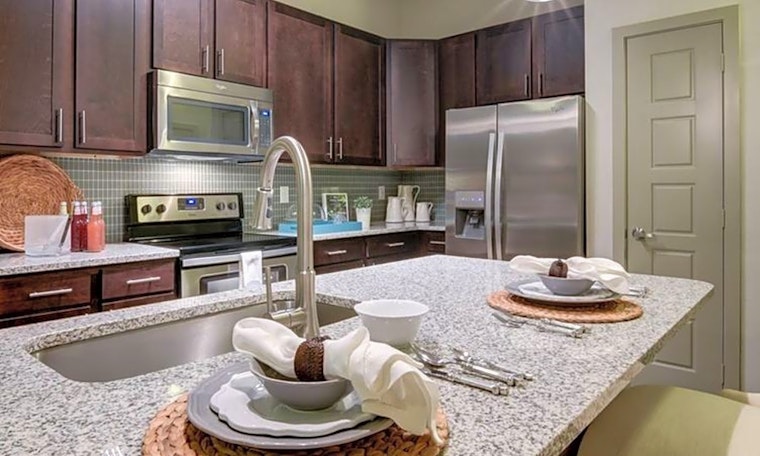 Budget apartments for rent in Friedrich Wilderness Park, San Antonio