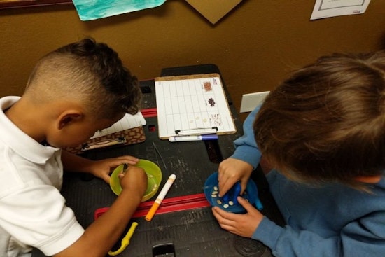 The 4 best summer camps in Sunnyvale