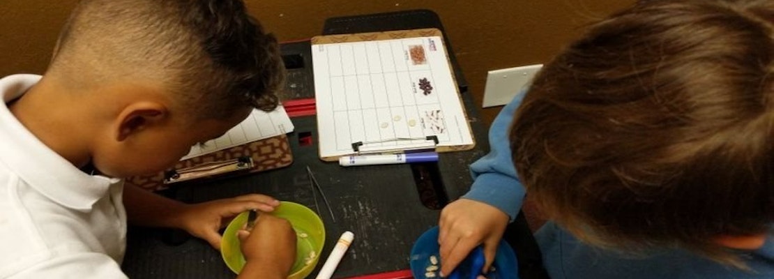 The 4 best summer camps in Sunnyvale