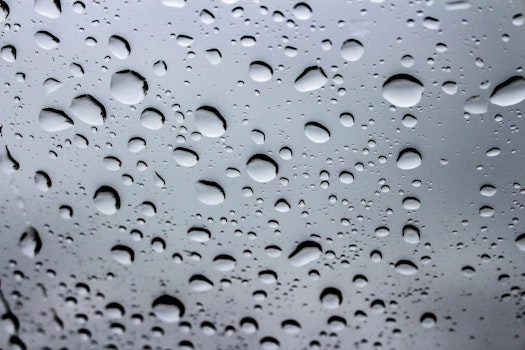 Weather forecast in Jacksonville