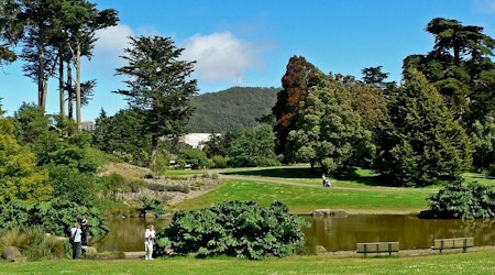 San Francisco Botanical Garden prepares for limited June 1 reopening