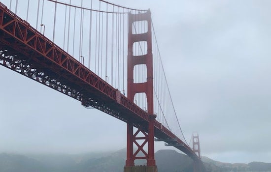 What happened to Karl the Fog? A social media mist-ery