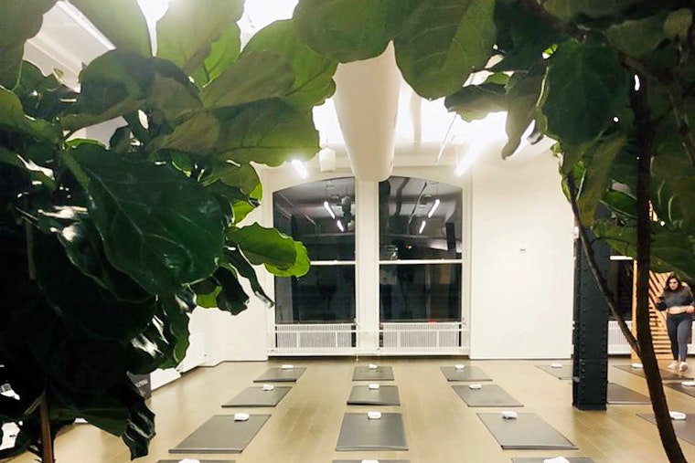 West Coast-based Alo Yoga opens in SoHo with classes, clothing and coffee