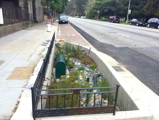 Oak And Fell Streets' Rain Gardens Have Arrived