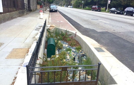 Oak And Fell Streets' Rain Gardens Have Arrived