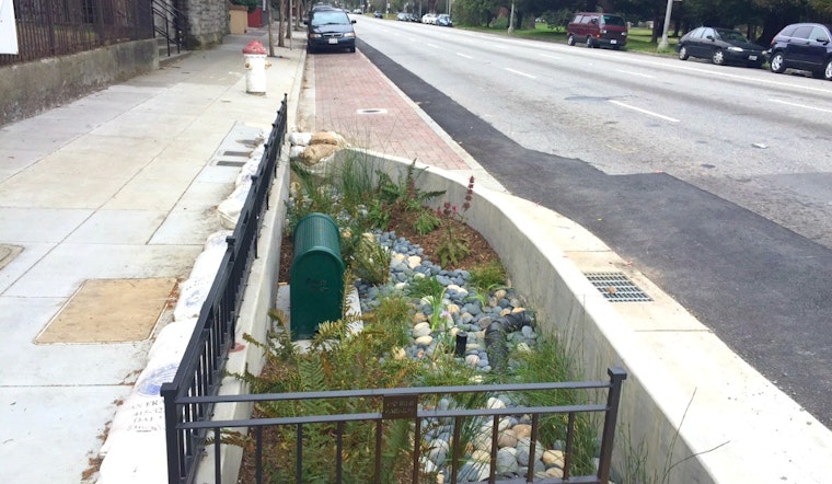 Oak And Fell Streets' Rain Gardens Have Arrived