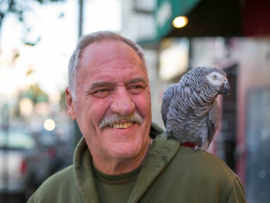 Souls of Divisadero, Spring 2015