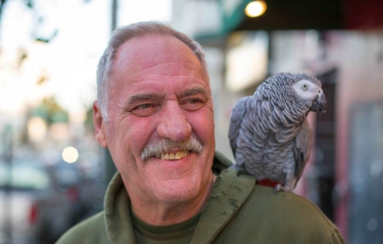 Souls of Divisadero, Spring 2015