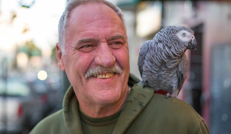 Souls of Divisadero, Spring 2015