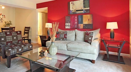 Apartments for rent in Charlotte: What will $800 get you?