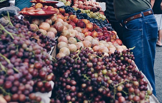 Upper Haight Farmers Market Returns Today