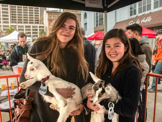 Expect Merriment, Mayhem At Ferry Plaza Farmers Market's 'Goatchella' On Saturday