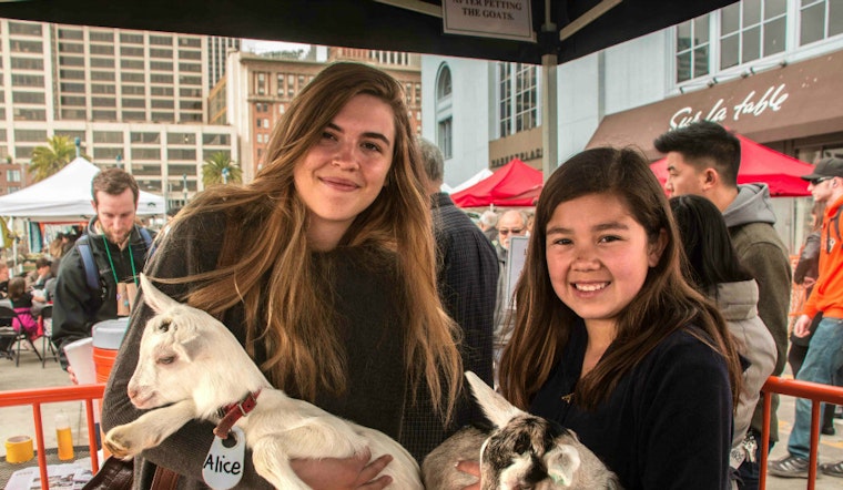 Expect Merriment, Mayhem At Ferry Plaza Farmers Market's 'Goatchella' On Saturday