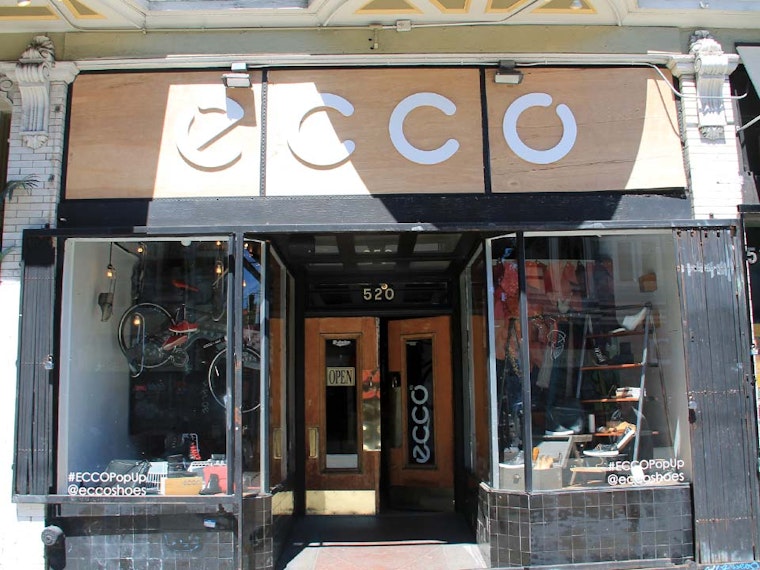 ECCO Temporarily Takes Over DSF Space