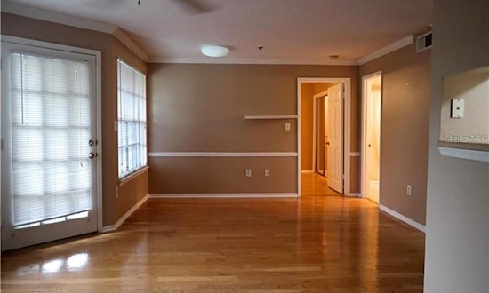 The cheapest apartments for rent in North Hyde Park, Tampa