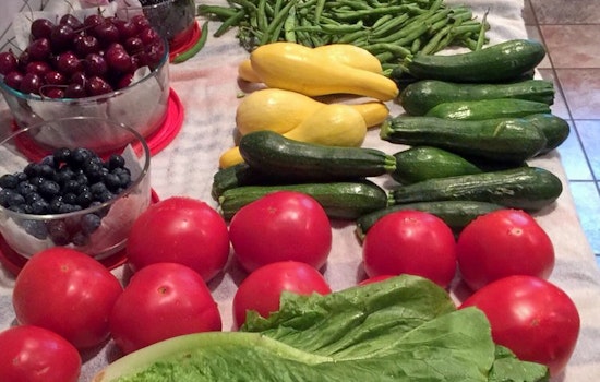 Jacksonville's 3 top spots for budget-friendly fruits and veggies