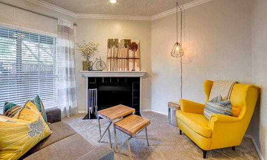 What apartments will $1,000 rent you in Northeast Dallas, today?