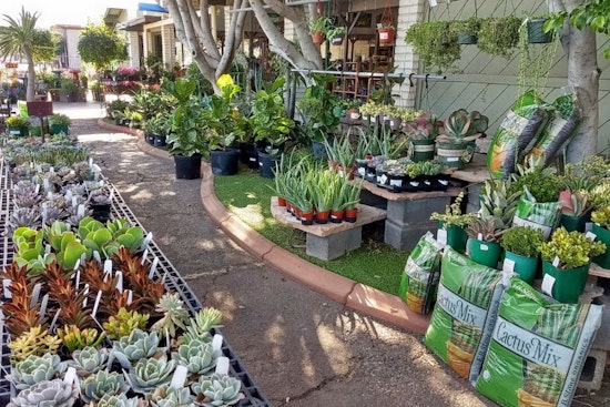 The 4 best plant nurseries in Mesa