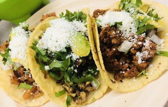 Explore the 4 most popular spots in Tampa's Oakford Park neighborhood