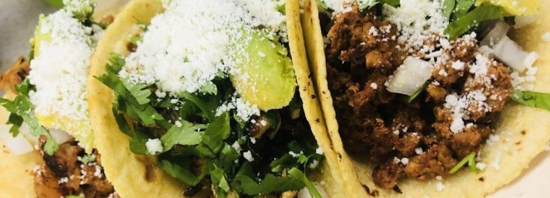 Explore the 4 most popular spots in Tampa's Oakford Park neighborhood