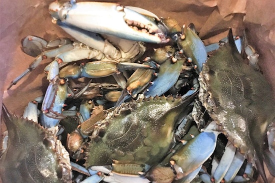 Fresh catch: Check out Deerfield Beach's top 4 spots for seafood