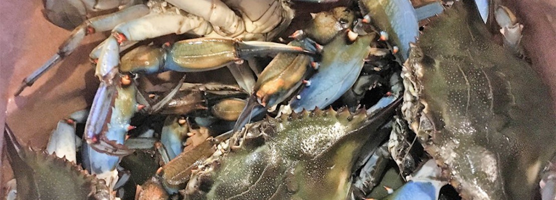 Fresh catch: Check out Deerfield Beach's top 4 spots for seafood