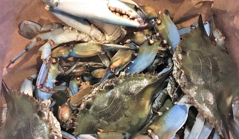 Fresh catch: Check out Deerfield Beach's top 4 spots for seafood