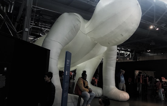 Exploratorium exhibit aims to expand visitors' minds