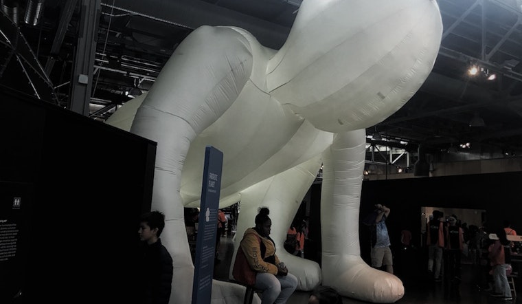 Exploratorium exhibit aims to expand visitors' minds