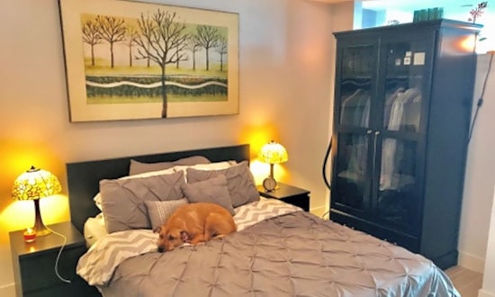 The most affordable apartments for rent in Downtown Tampa