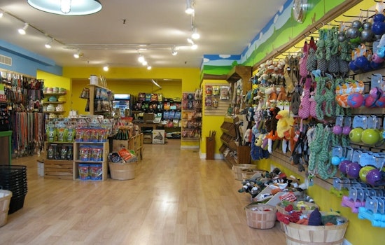 Pittsburgh's top 3 pet stores to visit now
