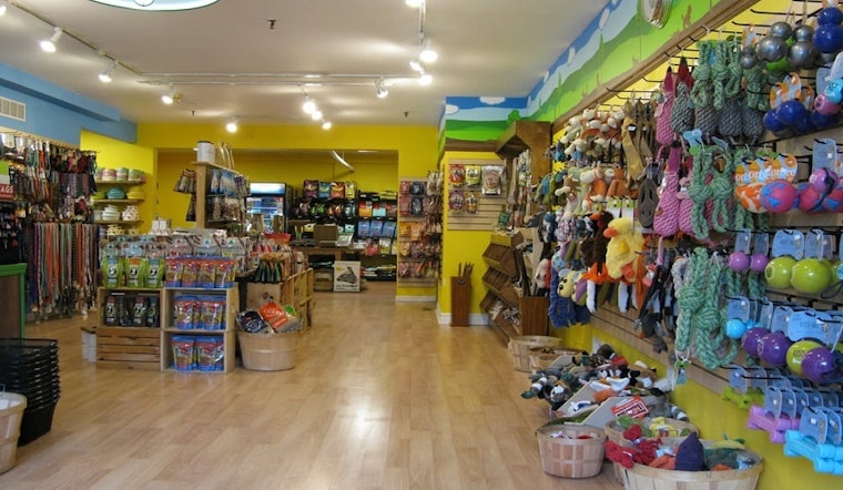 Pittsburgh's top 3 pet stores to visit now