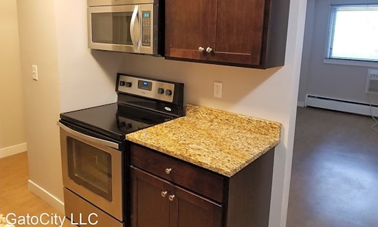 What apartments will $1,000 rent you in Lower East Side this month?