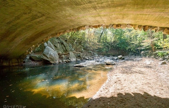 The 4 best parks in Washington