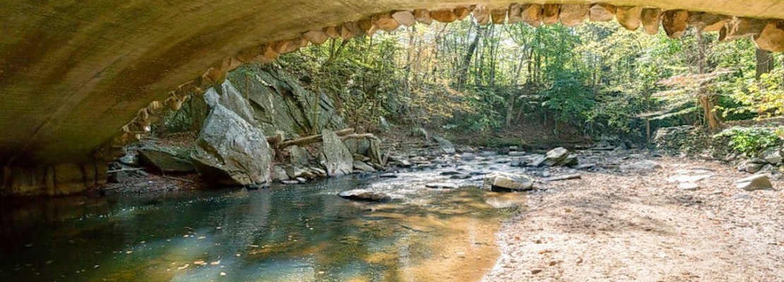 The 4 best parks in Washington