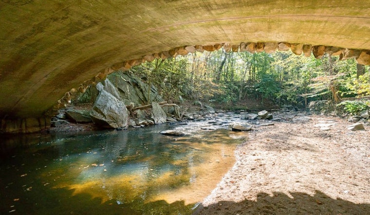 The 4 best parks in Washington