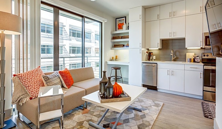 Budget apartments for rent in East Cesar Chavez, Austin