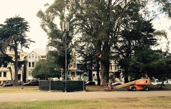 City Plants Supplemental Cell Tower In The Panhandle