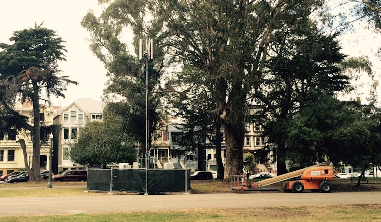 City Plants Supplemental Cell Tower In The Panhandle