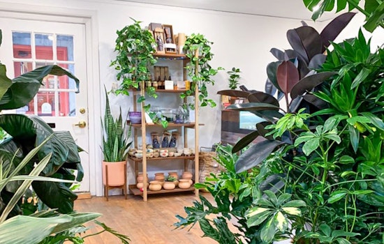 Your guide to the 4 most popular spots in Portland's Goose Hollow neighborhood