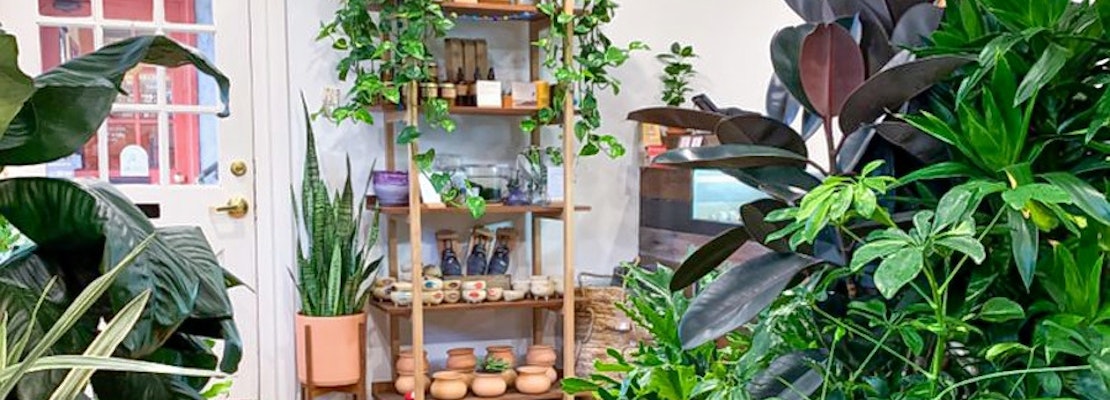 Your guide to the 4 most popular spots in Portland's Goose Hollow neighborhood