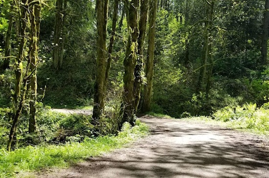 The 4 best parks in Portland