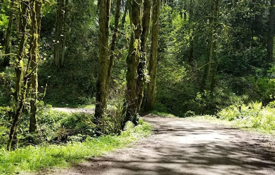 The 4 best parks in Portland
