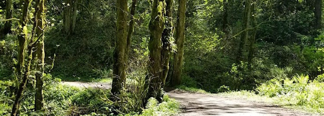 The 4 best parks in Portland