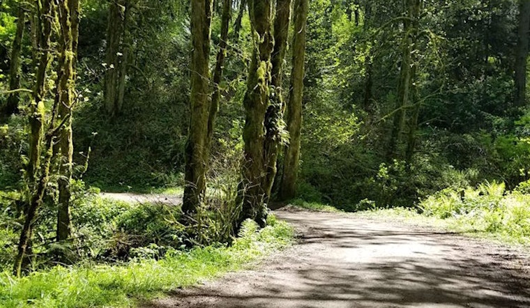 The 4 best parks in Portland