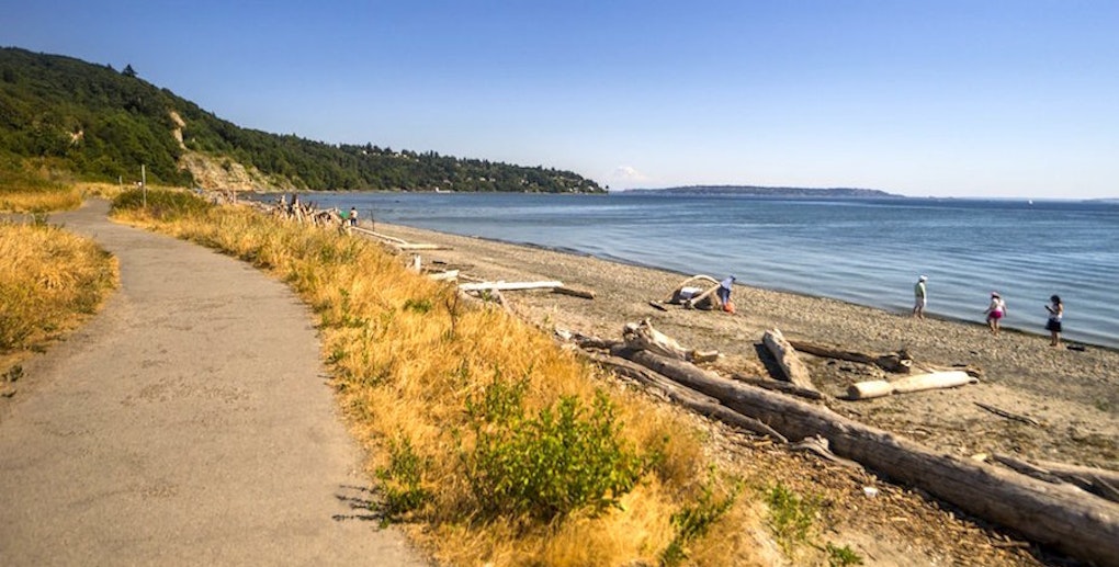 Seattle's top 4 parks, ranked