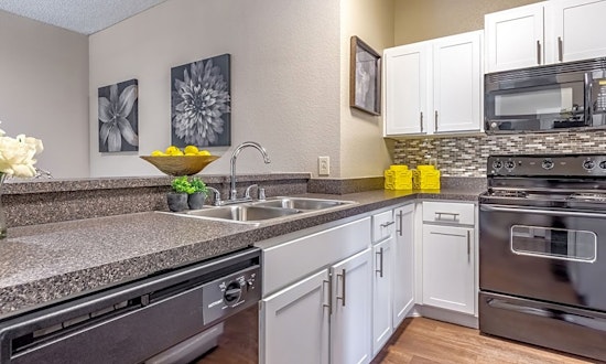 Apartments for rent in Plano: What will $1,500 get you?