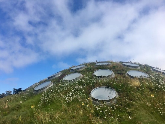 5 options for stay-at-home fun in SF: Thursday, June 25